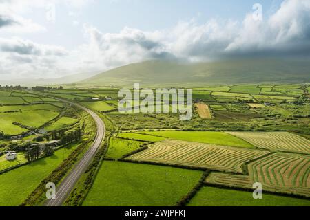 Vista aerea di pascoli lussureggianti e terreni agricoli della penisola di Dingle in Irlanda. Splendida campagna irlandese con campi e prati verde smeraldo. R Foto Stock
