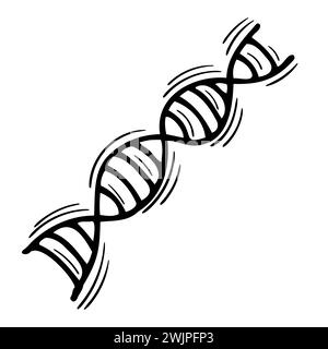 Icona del profilo del DNA disegnata a mano isolata su sfondo bianco. Linea a spirale del DNA. Illustrazione vettoriale Illustrazione Vettoriale