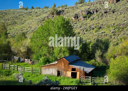 Barn, Riddle Brothers Ranch National Historic District, Donner und Blitzen Wild e Scenic River, Oregon Foto Stock