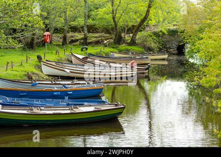 Barche assortite in affitto legate al piccolo molo di Lough Leane, il più grande e più settentrionale dei tre laghi del Killarney National Park, County Kerry, I. Foto Stock