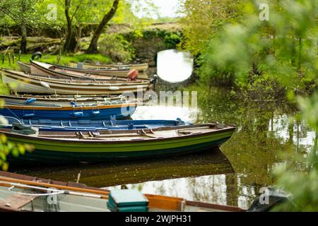 Barche assortite in affitto legate al piccolo molo di Lough Leane, il più grande e più settentrionale dei tre laghi del Killarney National Park, County Kerry, I. Foto Stock