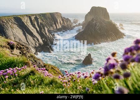 Scheildren, il paesaggio più iconico e fotografato a Malin Head, il punto più settentrionale dell'Irlanda, Wild Atlantic Way, spettacolare percorso costiero. Meraviglie Foto Stock