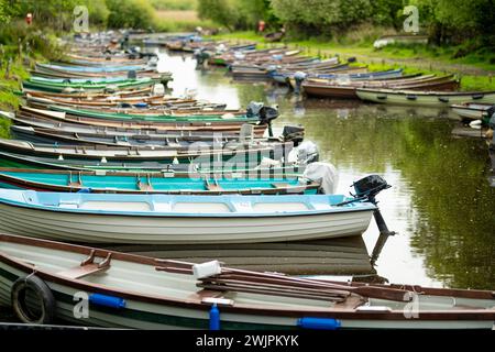 Barche assortite in affitto legate al piccolo molo di Lough Leane, il più grande e più settentrionale dei tre laghi del Killarney National Park, County Kerry, I. Foto Stock