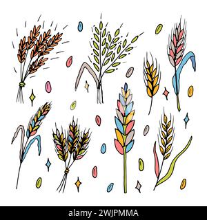 Set di orecchie di grano trafilate a mano. Spikelets per cereali. Doodle, sketch. Elementi di design per prodotti da forno. Illustrazione vettoriale Illustrazione Vettoriale