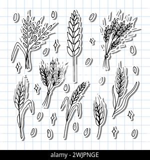 Set di orecchie di grano trafilate a mano. Spikelets per cereali. Doodle, sketch. Elementi di design per prodotti da forno. Illustrazione vettoriale Illustrazione Vettoriale