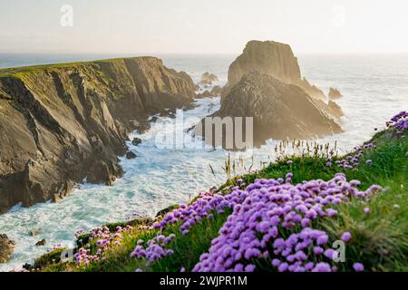 Scheildren, il paesaggio più iconico e fotografato a Malin Head, il punto più settentrionale dell'Irlanda, Wild Atlantic Way, spettacolare percorso costiero. Meraviglie Foto Stock