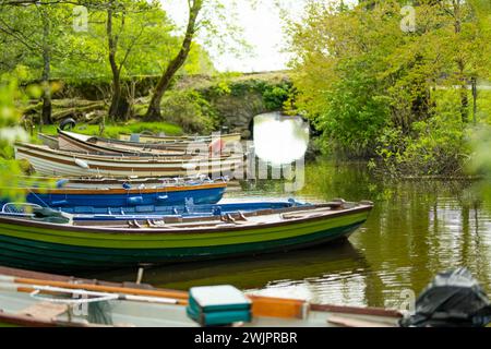 Barche assortite in affitto legate al piccolo molo di Lough Leane, il più grande e più settentrionale dei tre laghi del Killarney National Park, County Kerry, I. Foto Stock