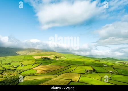 Vista aerea di pascoli lussureggianti e terreni agricoli della penisola di Dingle in Irlanda. Splendida campagna irlandese con campi e prati verde smeraldo. R Foto Stock