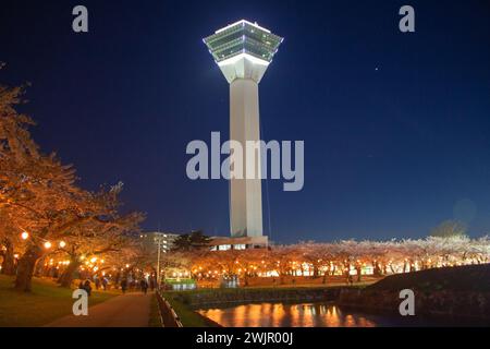 Splendida vista notturna della Torre Goryokaku al Parco Goryokaku con vista sul fiume nella stagione della fioritura dei ciliegi, Hakodate, Hokkaido, Giappone. Esposizione lunga Foto Stock