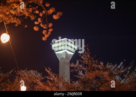 Splendida vista notturna della Torre Goryokaku con fiori di ciliegio (fiore Sakura) in primavera, Hakodate, Hokkaido, Giappone Foto Stock