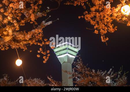 Splendida vista notturna della Torre Goryokaku con fiori di ciliegio (fiore Sakura) in primavera, Hakodate, Hokkaido, Giappone Foto Stock