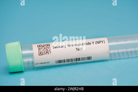 Neuropeptide salivare Y Foto Stock