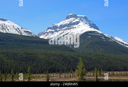 Monte Amery - Montagne Rocciose, Canada Foto Stock