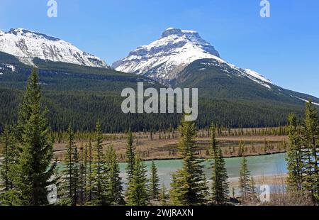 Monte Amery - Montagne Rocciose, Canada Foto Stock