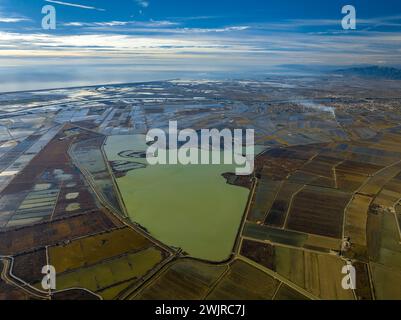 Vista aerea del Delta dell'Ebro e delle sue risaie. In primo piano, la zona umida del Canal Vell (Tarragona, Catalogna, Spagna) Foto Stock