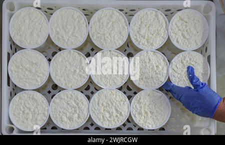 Produzione artigianale di mató (formaggio ricotta catalano) in casa colonica CAN Fermí, vicino a Montserrat (Bages, Barcellona, Catalogna, Spagna) ESP: Producció Foto Stock