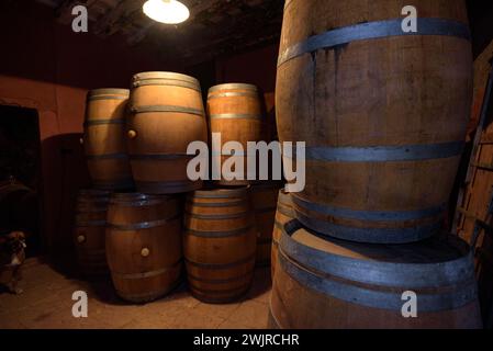 Casa colonica CAN Grau Vell. Azienda vinicola della fattoria (Baix Llobregat, Barcellona, Catalogna, Spagna) ESP: Masía de CAN Grau Vell. Bodega de la masía Foto Stock
