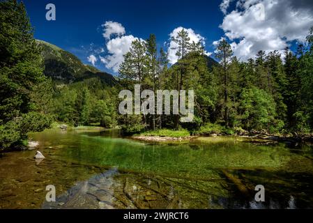 Pianura di Aigüestortes, in estate (Parco Nazionale di Aigüestortes e Estany de Sant Maurici, Pirenei, Catalogna, Spagna) ESP Planell d'Aigüestortes en verano Foto Stock