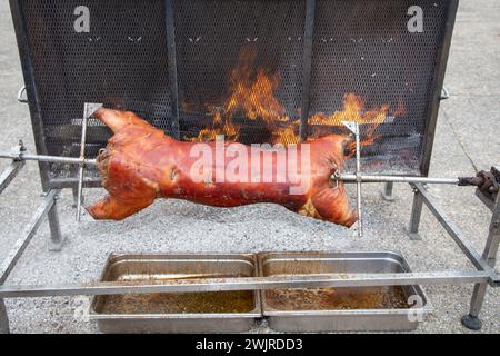 Maialino intero arrosto arrosto arrosto arrosto sul fuoco Foto Stock