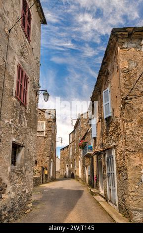 Case di pietra in Talasani, Castagniccia regione, highlands sulla Costa Verde, Haute-Corse reparto, Corsica, Francia Foto Stock