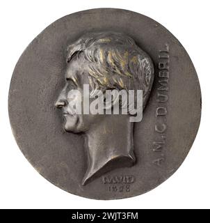 David d'Angers (1788-1856). Ritratto di Auguste Duméril (1774-1860), medico e naturalista francese. Bronzo, ghisa sabbiosa. 1828 Parigi, museo Carnavalet. 58288-7 Bronzo, ghisa sabbiosa, medico francese, naturalista, profilo, verticale Foto Stock