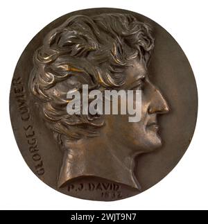 David d'Angers (1788-1856). Ritratto di Georges Cuvier (1769-1832), naturalista francese. Bronzo, ghisa sabbiosa. 1832 Parigi, museo Carnavalet. 58287-16 Bronze, baron, Sand cast, naturalista francese, profilo, verticale Foto Stock