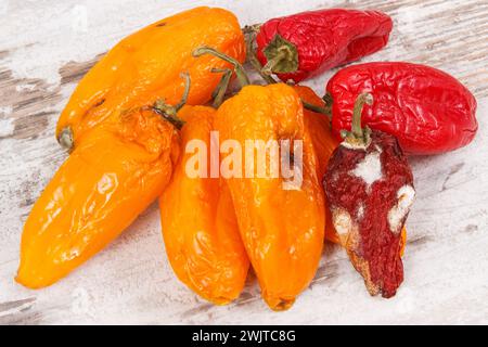 Vecchio rugoso peperoni con stampo sul vecchio sfondo rustico. Concetto di malsano e cibo disgustoso Foto Stock