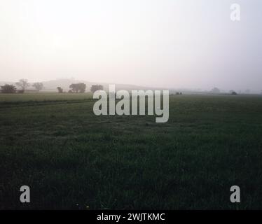 Inghilterra. Livelli Somerset. Misty Sunrise sopra i campi. Foto Stock