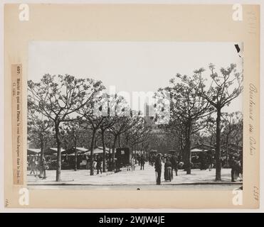 Blancard, Hippolyte (1843 - D.1924), le Marché aux Fleurs, Boulevard du Palais, la Tour Saint -Jacques sullo sfondo, i e IV arrondissements, Parigi (titolo fittizio), 1890. Estrazione Platinum. Museo Carnavalet, storia di Parigi. Foto Stock