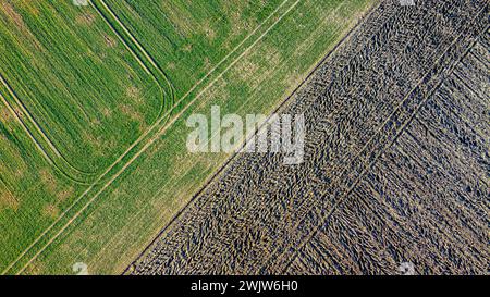 Una vista aerea di campi intersecanti, uno parzialmente raccolto, formando un accattivante schema Foto Stock