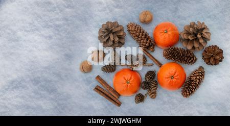 Mandarini, bastoni di cannella, noci, coni di pino nella neve. Sapori delle vacanze invernali. Decorazioni naturali per creare un'atmosfera natalizia.Vista dall'alto, fl Foto Stock