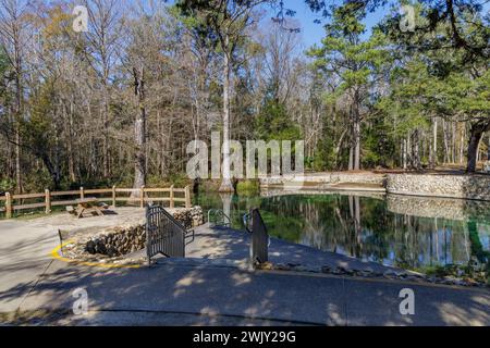 Il Ponce de Leon Springs State Park è una popolare destinazione per immersioni e nuoto a Ponce de Leon, Florida Foto Stock