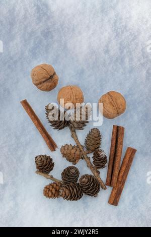 Mandarini, bastoni di cannella, noci, coni di pino nella neve. Sapori delle vacanze invernali. Decorazioni naturali per creare un'atmosfera natalizia.Vista dall'alto, fl Foto Stock