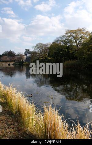 Castello di Fukuoka Parco Maizuru nella Prefettura di Fukuoka Kyushu la mattina di novembre Foto Stock