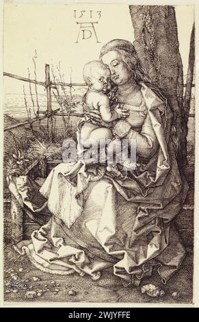 Albrecht Dürer (1471-1528). La Vergine con il bambino seduto vicino a un albero (Bartsch 35). 1513. Museo di Belle Arti della città di Parigi, Petit Palais. 77213-29 albero, arte Chretiana, arte religiosa, bibbia, cristianesimo, iconografia cristiana, iconografia religiosa, carattere biblico, carattere sacro, refezione biblica, religione cristiana, rinascimento, scena biblica, scena religiosa, vita Cristo, vergine a bambino, vergine e bambino, XVI XVI XVI XVI XVI XVI XVI XVI XVI secolo, incisione Foto Stock