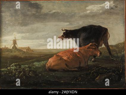 Cuyp, Aelbert (n.1620 - D.1691-11), pascolo con due mucche (titolo principale). Olio su tela. Petit Palais, Museo di Belle Arti della città di Parigi. Foto Stock