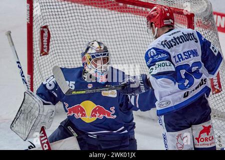 Deutsche Eishockey Liga DEL Foto Stock