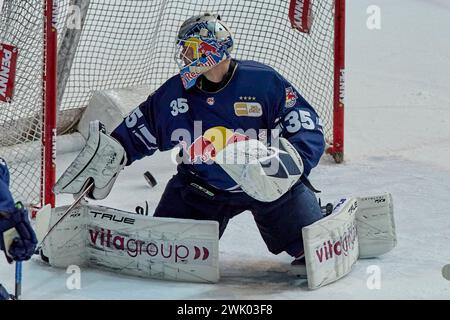 Deutsche Eishockey Liga DEL Foto Stock