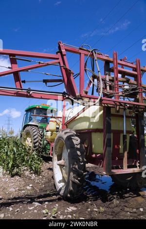 Trattore agricolo verde con irroratrice a braccio per l'applicazione di pesticidi chimici su colture in campi di mais. Foto Stock