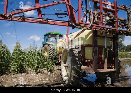 Trattore agricolo verde con irroratrice a braccio per l'applicazione di pesticidi chimici su colture in campi di mais. Foto Stock