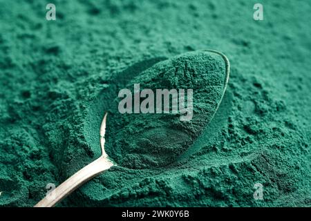 Polvere di spirulina verde su un cucchiaio di metallo, primo piano Foto Stock