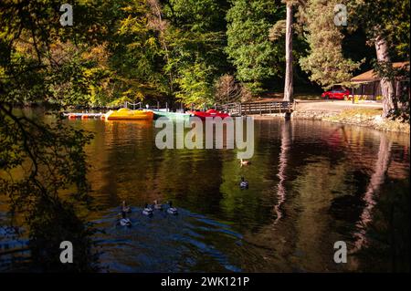 Pitlochry Boating Station & Adventure Hire Foto Stock