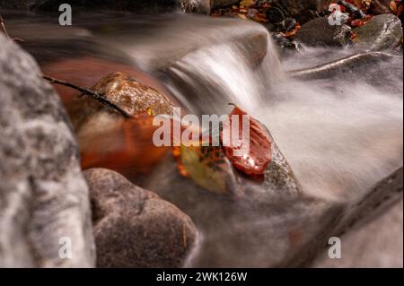 Catturando l'eterea bellezza dell'acqua fluente, questa fotografia impiega una tecnica di esposizione lunga, che produce una sfocatura ipnotizzante che evoca un senso Foto Stock