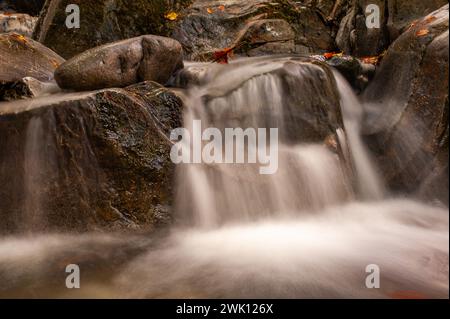 Catturando l'eterea bellezza dell'acqua fluente, questa fotografia impiega una tecnica di esposizione lunga, che produce una sfocatura ipnotizzante che evoca un senso Foto Stock