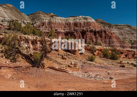 Colorate pietre fangose della formazione Wasatch a ovest di DeBeque, Colorado Foto Stock