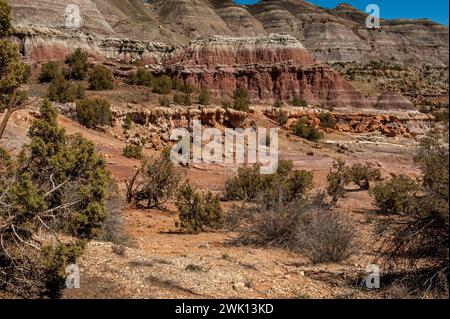 Colorate pietre fangose della formazione Wasatch a ovest di DeBeque, Colorado Foto Stock