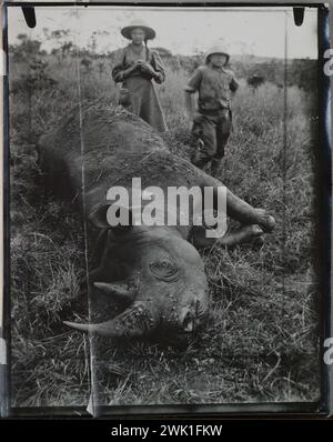 Vintage Photography, Kenya c. 1910. Rinoceronte morto a terra. L'artista norvegese Akseli Gallen-Kallela in caccia alla caccia con la gente del posto. Ha vissuto con la sua famiglia nel 1909-10 nell'Africa Orientale Britannica, oggi Kenya. Su questo ha scritto: "Il mio terzo rinoceronte è caduto dopo una battaglia difficile, in cui io stesso e il mio portabagagli sono quasi stati uccisi. La vista e' una tipica macchia con colline. In piedi accanto a me ci sono i miei due figli.” . Le pelli e le corna di diversi animali sono state recuperate e successivamente donate all'Università di Helsinki. Foto Stock