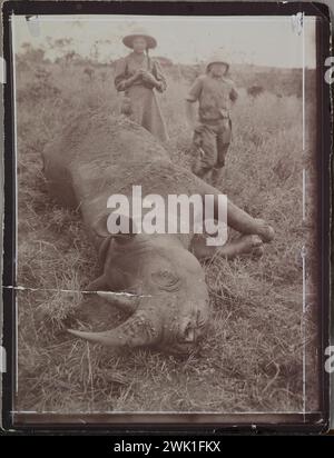 Vintage Photography, Kenya c. 1910. Rinoceronte morto a terra. L'artista norvegese Akseli Gallen-Kallela in caccia alla caccia con la gente del posto. Ha vissuto con la sua famiglia nel 1909-10 nell'Africa Orientale Britannica, oggi Kenya. Su questo ha scritto: "Il mio terzo rinoceronte è caduto dopo una battaglia difficile, in cui io stesso e il mio portabagagli sono quasi stati uccisi. La vista e' una tipica macchia con colline. In piedi accanto a me ci sono i miei due figli.” . Le pelli e le corna di diversi animali sono state recuperate e successivamente donate all'Università di Helsinki. Foto Stock