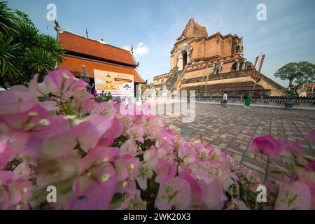 CHIANG mai , THAILANDIA - 17 FEBBRAIO 2024, il tour dei viaggiatori intorno al tempio Wat Jedi Luang a Chiang mai, Thailandia. Foto Stock