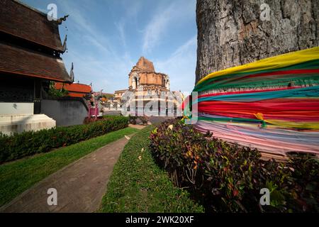 CHIANG mai , THAILANDIA - 17 FEBBRAIO 2024, il tour dei viaggiatori intorno al tempio Wat Jedi Luang a Chiang mai, Thailandia. Foto Stock